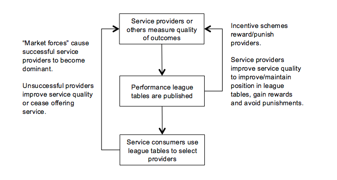 figure 2: assumed model ofperformance measurement process